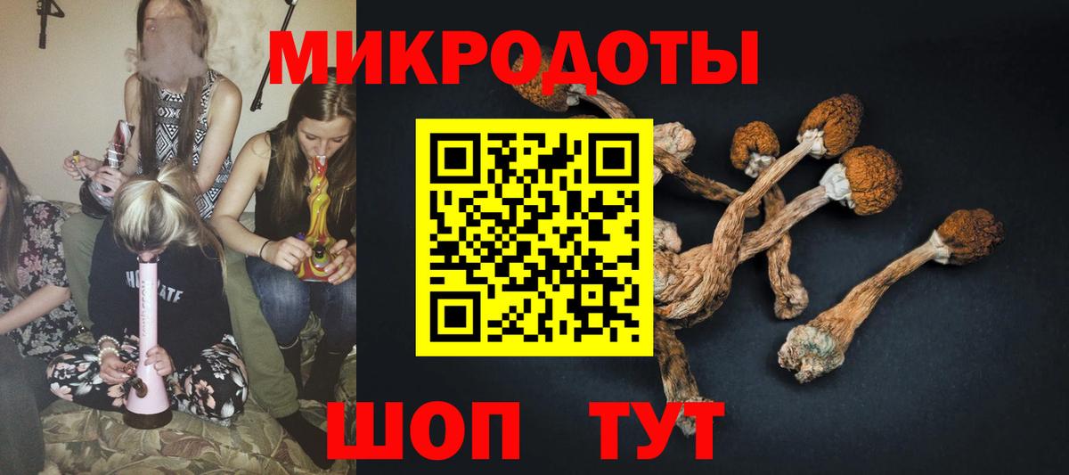 Галлюциногенные грибы GOLDEN TEACHER  Вход с VPN  Псилоцибиновые грибы мухоморы  Казань 